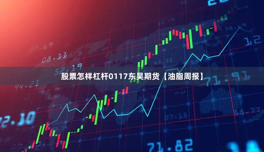 股票怎样杠杆0117东吴期货【油脂周报】