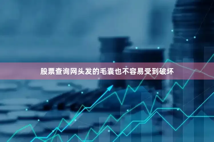 股票查询网头发的毛囊也不容易受到破坏
