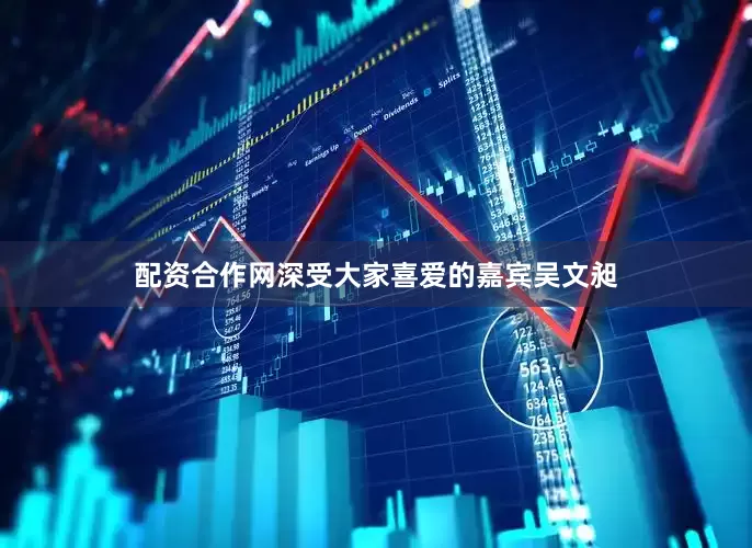 配资合作网深受大家喜爱的嘉宾吴文昶