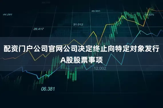 配资门户公司官网公司决定终止向特定对象发行A股股票事项