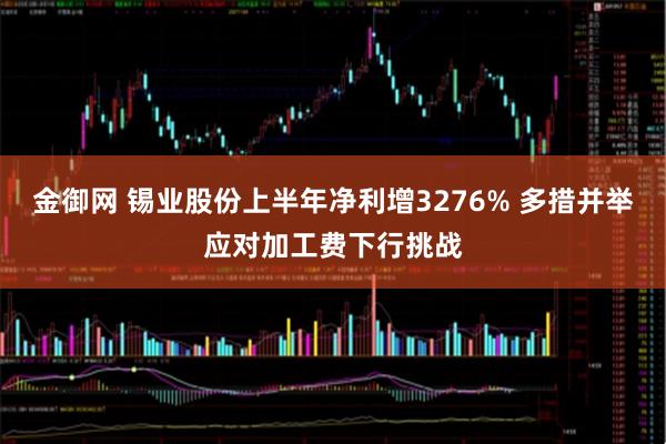 金御网 锡业股份上半年净利增3276% 多措并举应对加工费下行挑战