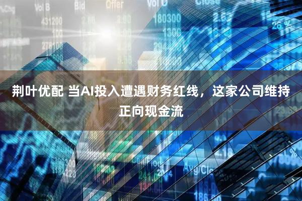 荆叶优配 当AI投入遭遇财务红线,这家公司维持正向现金流